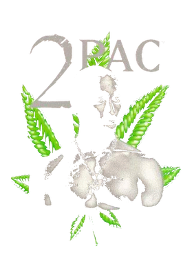 image overlay