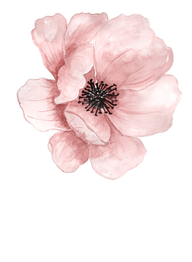 image overlay