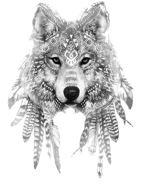 image overlay