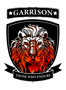 image overlay