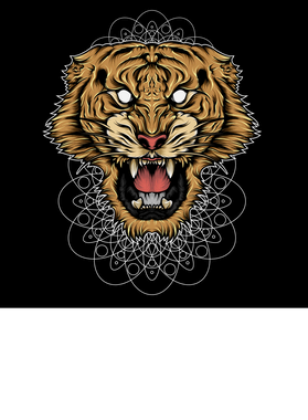 image overlay