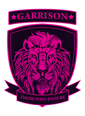 image overlay