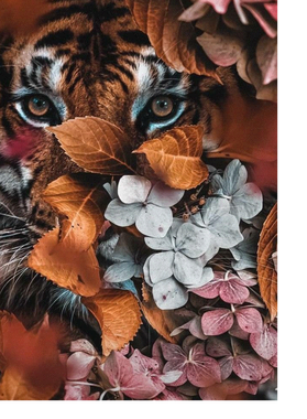 https://d1w8c6s6gmwlek.cloudfront.net/garrisonclothing.com/overlays/384/749/38474984.png img