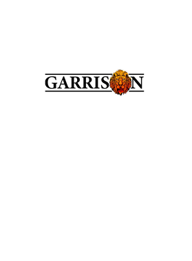 image overlay