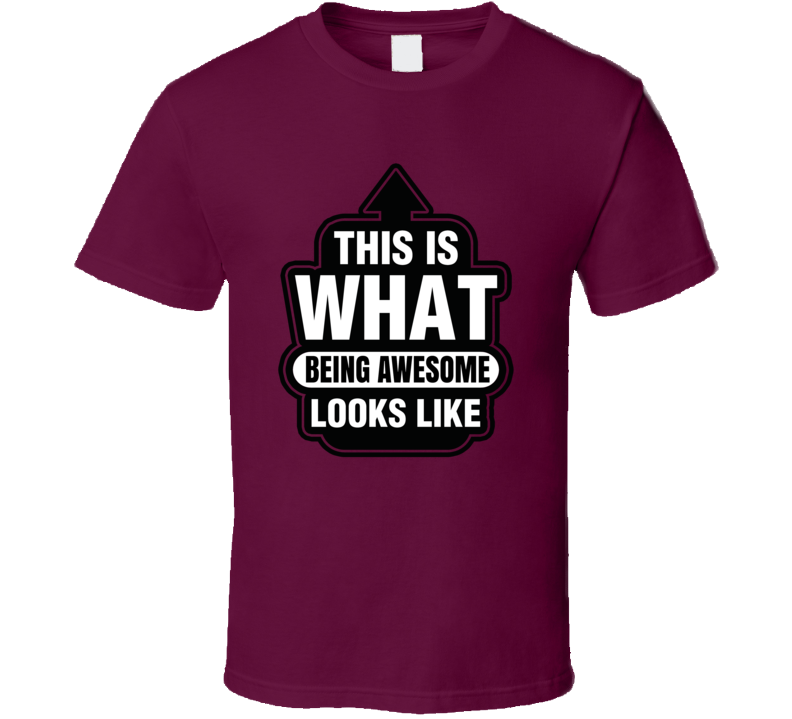 This Is What Being Awesome Looks Like T Shirt