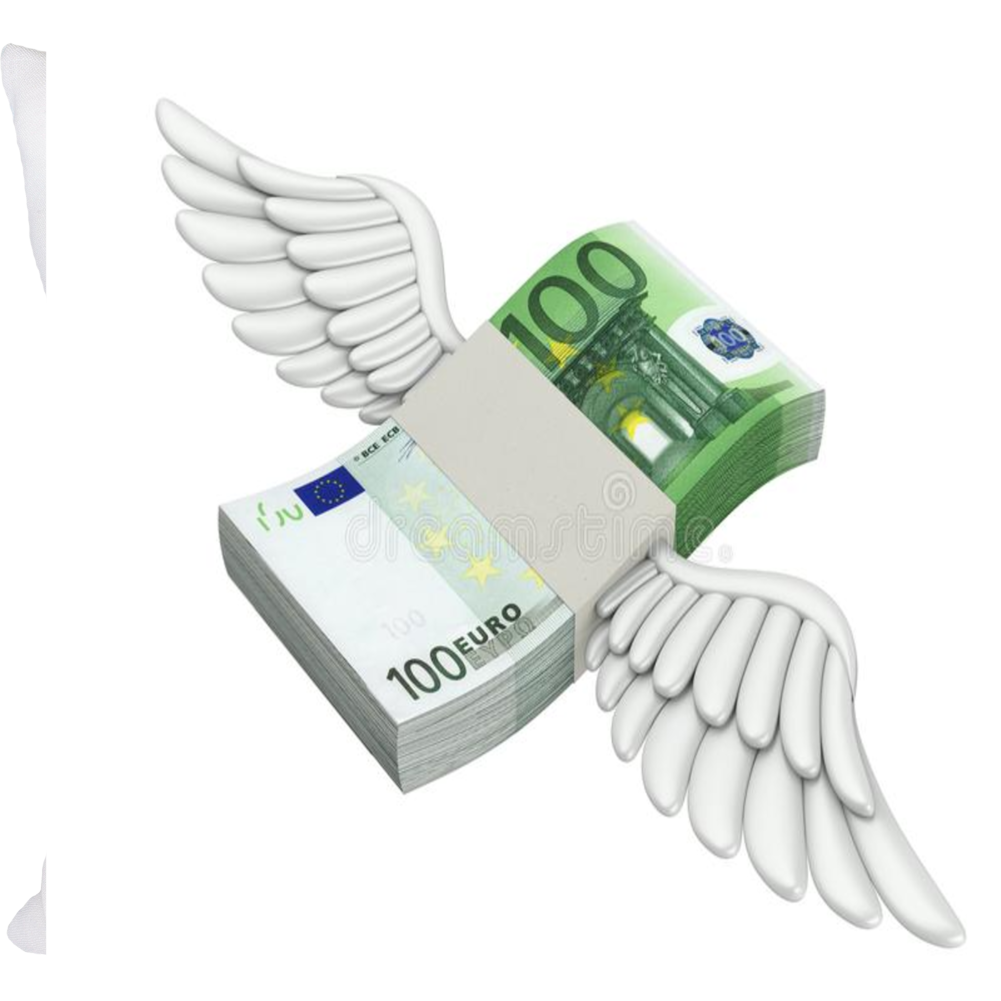 Euros ,plural T Shirt