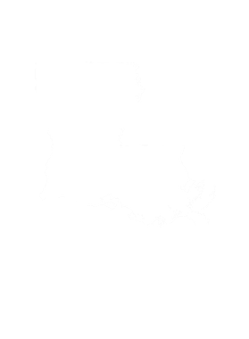 https://d1w8c6s6gmwlek.cloudfront.net/goodnine.com/overlays/399/237/39923789.png img