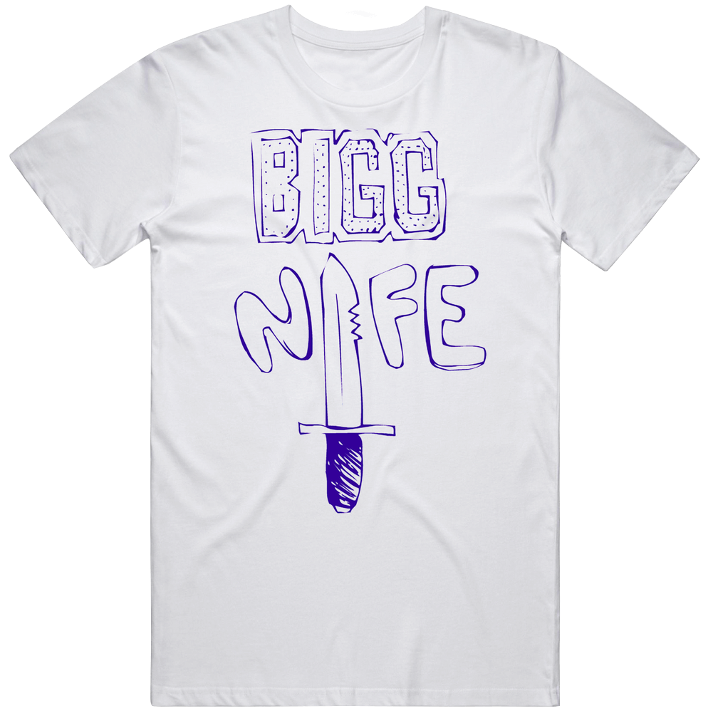 Bigg Nife Homestar Runner Fictional Musican Character Fan T Shirt