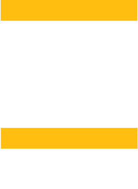 https://d1w8c6s6gmwlek.cloudfront.net/hockeyfantshirts.com/overlays/167/151/16715181.png img