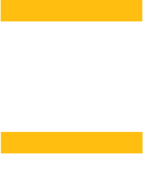 https://d1w8c6s6gmwlek.cloudfront.net/hockeyfantshirts.com/overlays/167/152/16715256.png img