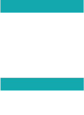 https://d1w8c6s6gmwlek.cloudfront.net/hockeyfantshirts.com/overlays/167/152/16715281.png img