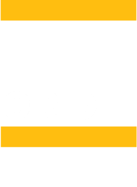 https://d1w8c6s6gmwlek.cloudfront.net/hockeyfantshirts.com/overlays/167/155/16715564.png img