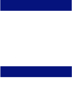 https://d1w8c6s6gmwlek.cloudfront.net/hockeyfantshirts.com/overlays/167/165/16716507.png img