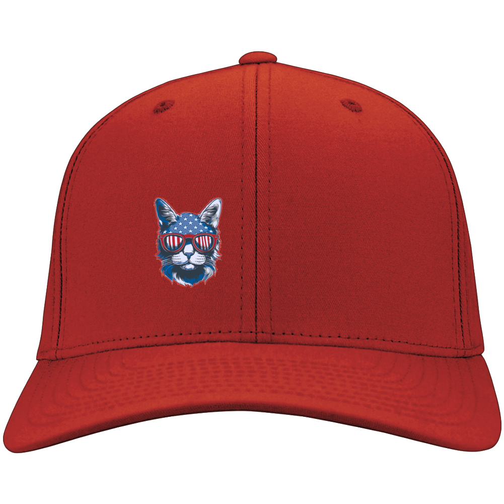 American Patriotic Cat Hat