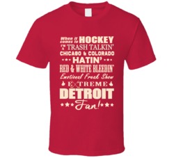 Detroit Hockey Fan T Shirt 5310601