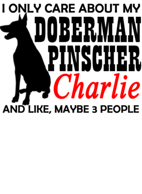 https://d1w8c6s6gmwlek.cloudfront.net/jamesteeshirts.com/overlays/167/788/16778807.png img