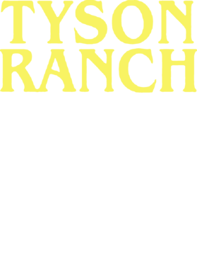 https://d1w8c6s6gmwlek.cloudfront.net/jenkayrose.com/overlays/384/899/38489903.png img
