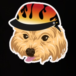Ed Dog Teddy 90 Fiance T Shirt 37854054