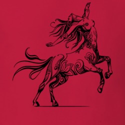 Sagittarius centaur T Shirt 38067692
