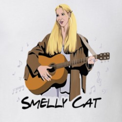 Smelly Cat Pheobe Friend T Shirt 39106776