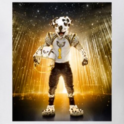 Dalmatian Singer T Shirt 39121422