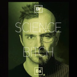 Breaking Bad Science Bitch Tv Series T Shirt 39327712