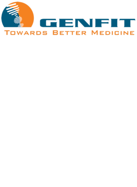 image overlay
