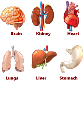 https://d1w8c6s6gmwlek.cloudfront.net/lisutees.com/overlays/285/714/28571428.png img