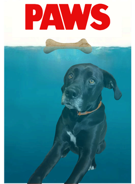 https://d1w8c6s6gmwlek.cloudfront.net/littlemisstshirt.com/overlays/403/403/40340301.png img