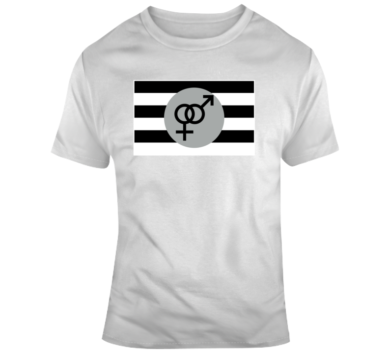 Straight Pride T Shirt Straight Pride T Shirt