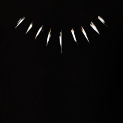 Black Panther Chain T-shirt 33475751