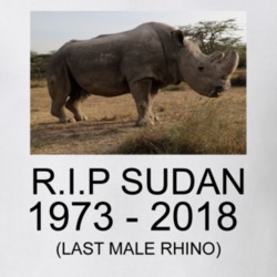 Rip Sudan White Rhino T-shirt 33745546