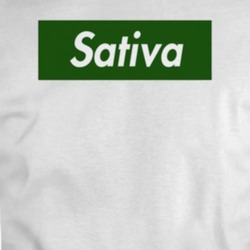 Sative Sweet T Shirt 34183698