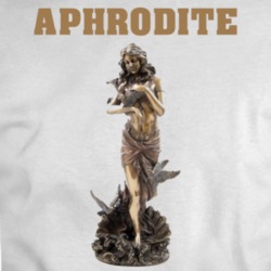 Aphrodite Statue T Shirt 34303640