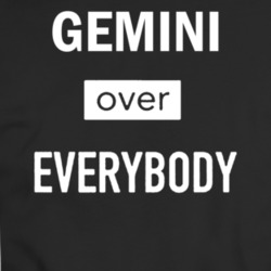 Gemini Over Everybody Zodiac T-shirt 35156840