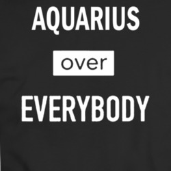 Aquarius Over Everybody Zodiac T-shirt 35156847