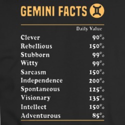 Gemini Facts Zodiac T-shirt 35156852