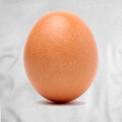 Most Liked Instragam Post World Record Egg T-shirt 35298939