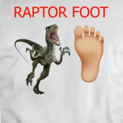 Raptors Foot Raptors We The North T Shirt 36112108