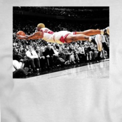 Dennis Robin Classic Diving Out Of Bounds T Shirt 36293609