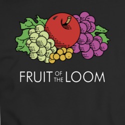 Fruit Of The Loom Company Logo T Shirt 36571108