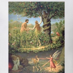 Garden Of Eden Adam And Eve Apple And Snake T Shirt 38379021