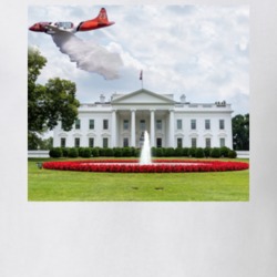 Disinfectant Over The White House Parody T Shirt 38399698