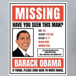 Have You Seen Barack Missing Parody T Shirt 38437633