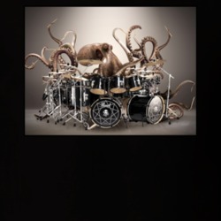 Octopus Playing Drums Parody T Shirt 38598001