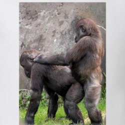 Gorilla Mating Art T Shirt 38728413