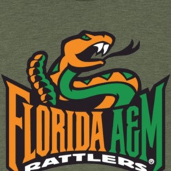 Florida A&m Rattlers Mascot T Shirt 38745484