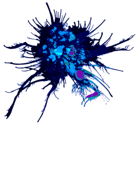 https://d1w8c6s6gmwlek.cloudfront.net/livingtshirts.com/overlays/297/764/29776419.png img