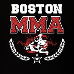 Boston MMA Fight T Shirt 1138573