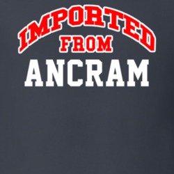 Imported From Ancram New York Sports Team Trade T Shirt 13909457